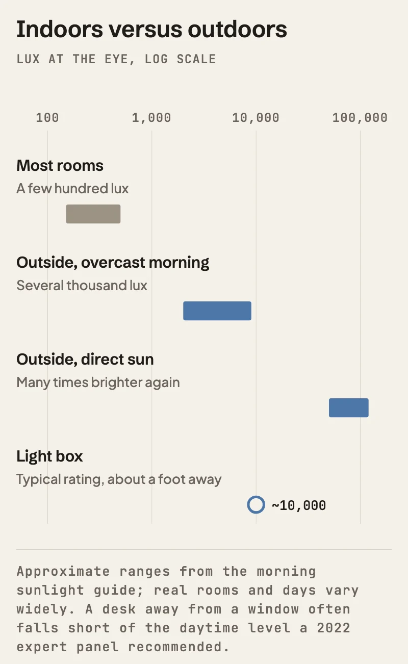 Light levels on a log scale. Most rooms are a few hundred lux. Outdoors on an overcast morning is several thousand lux. Direct sun is many times brighter again. A typical light box is rated around 10,000 lux at about a foot. Ranges are approximate.